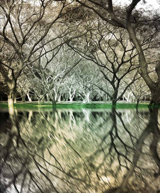Mirror Effect