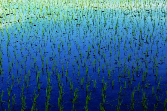 ...:::Uritan Dideder:::...