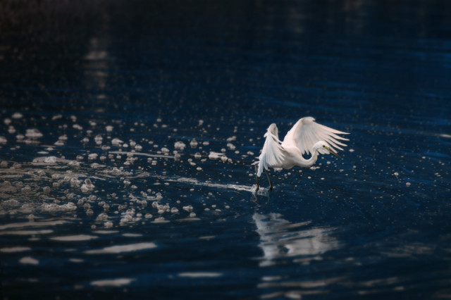 sreeeeeeetttttttttttt