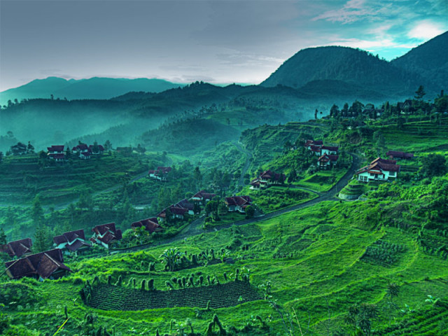 [HDR] Green Misty Valey