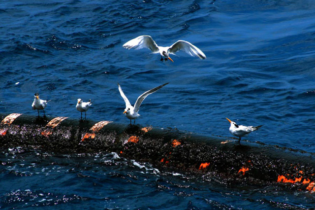 Give me a space,...pls #02