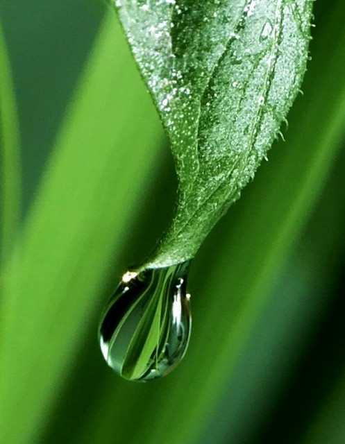 >* Setetes Air KehidupaN *