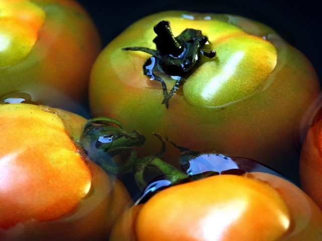 (,"  F R U I T S  ",)