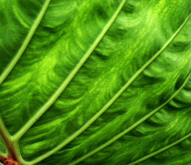 Playing with texture