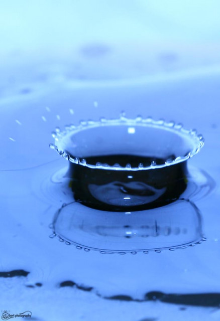 wax drop : the reflection :