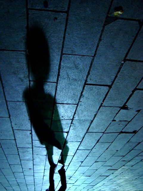 the world is not real...