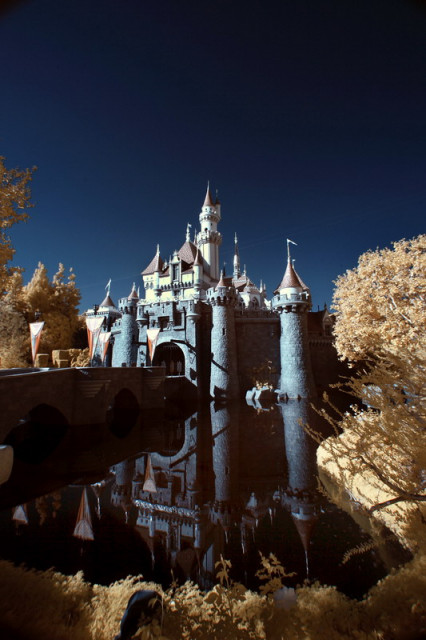 disney's castle