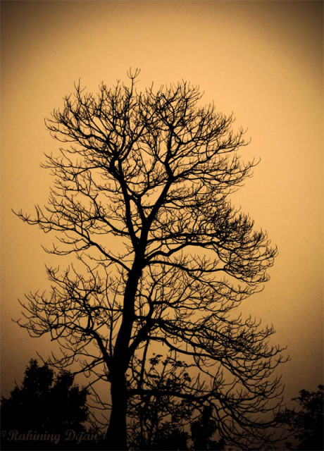 melawan semua kegilaan