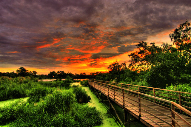 Bridge to the sky