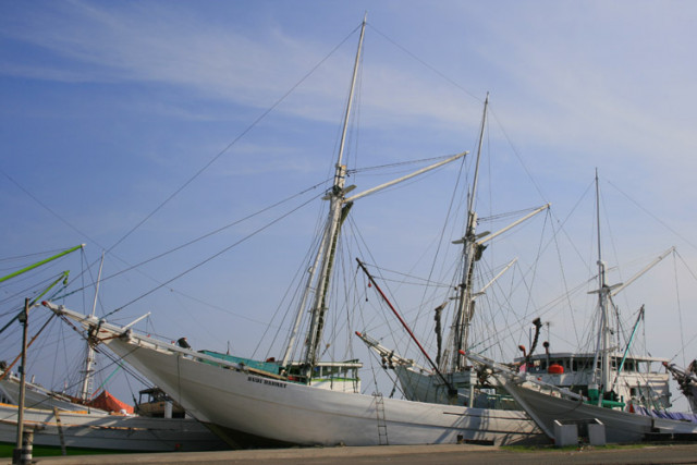 Pinisi Yang Tangguh