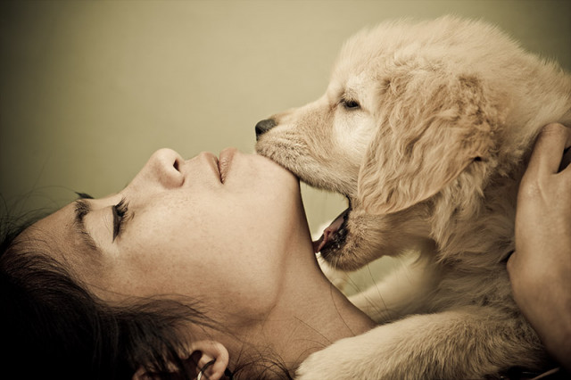 a bite of love
