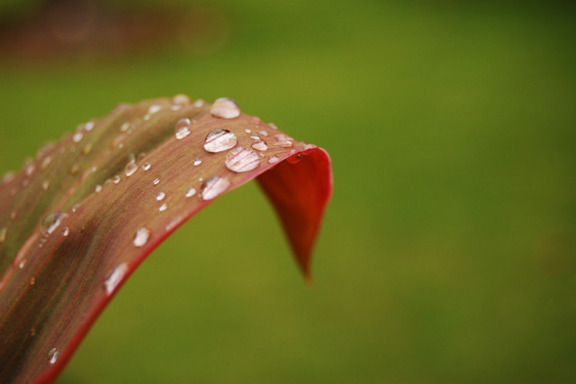 Growth not Perfection