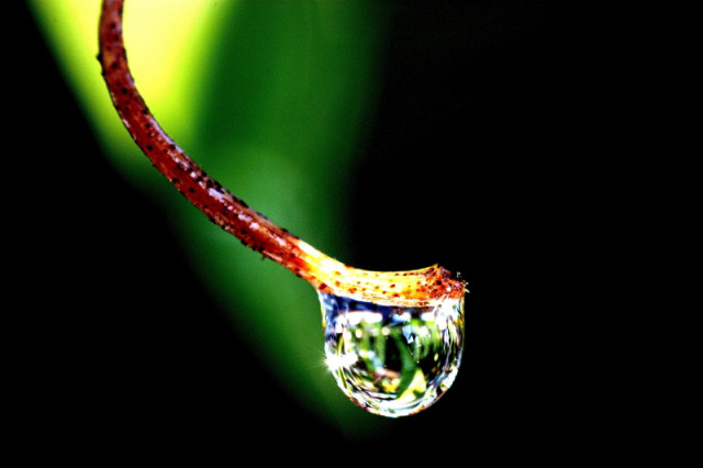 Crystal Drop (photo challenge)