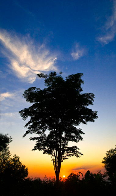 Sunrise at Pines Taman Dayu