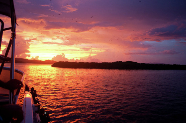 sunset di P. Kelelawar