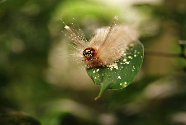 Disgusted but Beautiful..