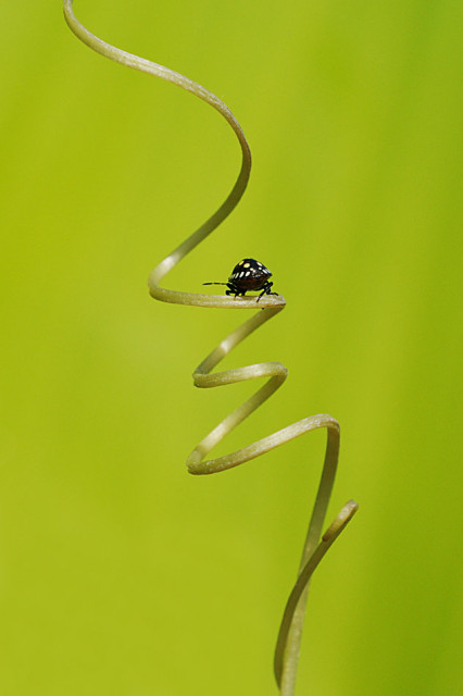 ~~ meniti jalan berliku ~~