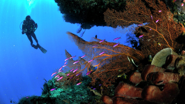 The World Below The Surface