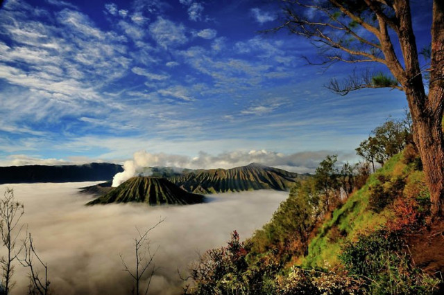 BROMO VIEW